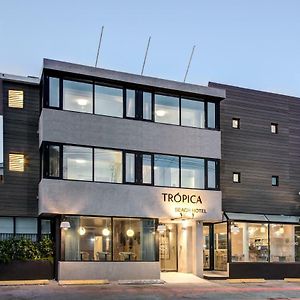 Tropica Beach Hotel (Adults Only)